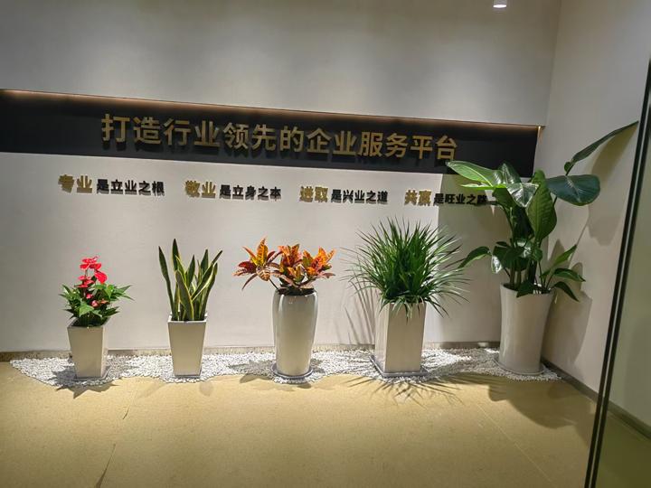 案例展示