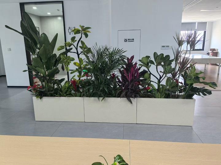 案例展示